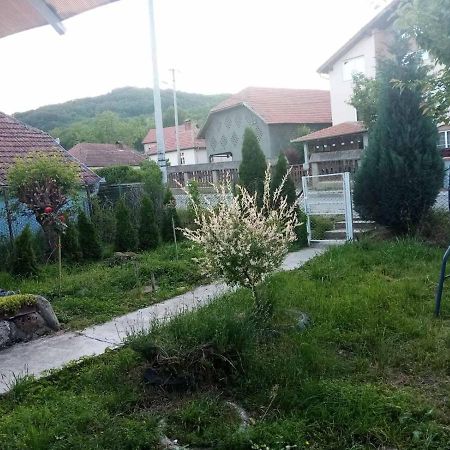 Apartmani Lina Ribarska Banja Eksteriør bilde