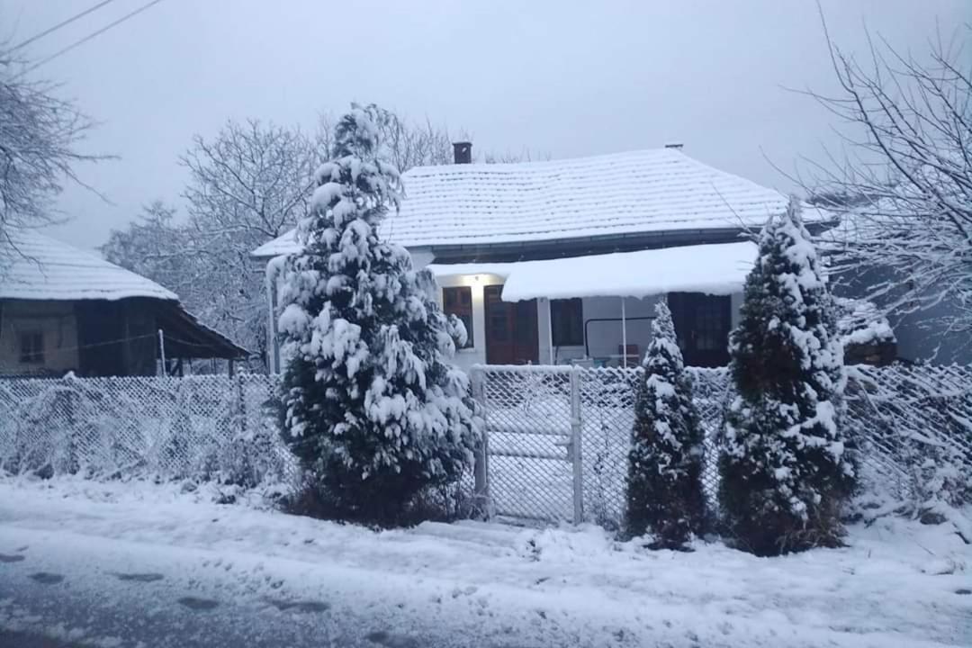 Apartmani Lina Ribarska Banja Eksteriør bilde